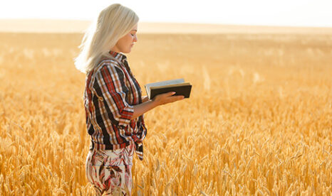 Woman reading a Bible in a wheat field